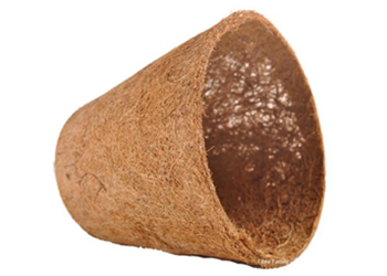 Coco Pot
