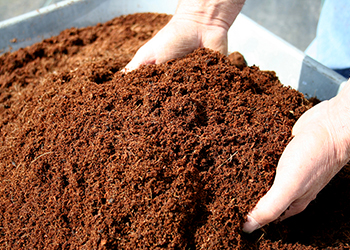 Compost